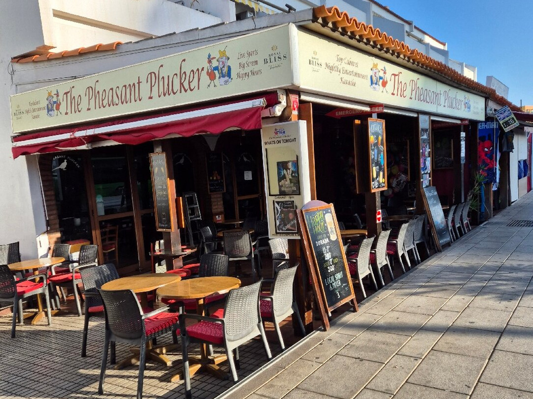 The Pheasant Plucker Tenerife-奥德杰海岸必去景点