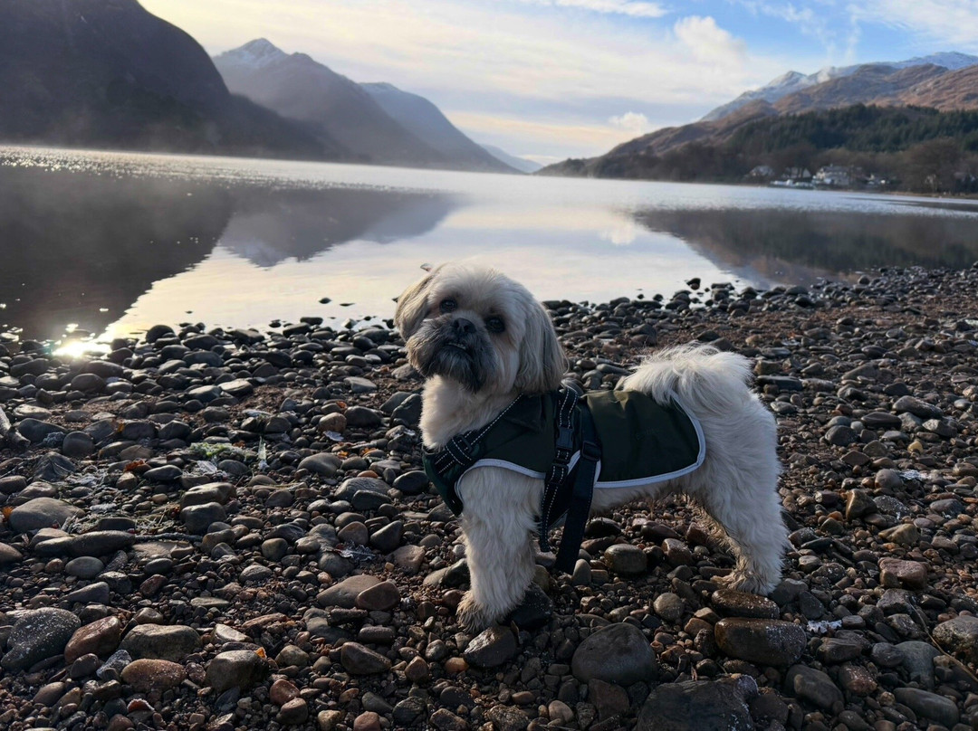 Glenfinnan Visitors Centre景点图片