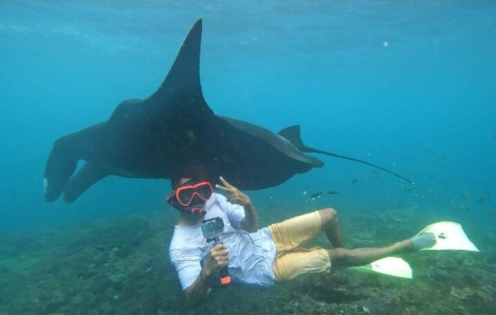 Manta Discovery-Ped必去景点