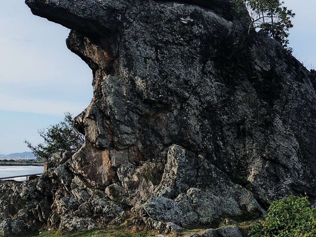 Parrot Beak-Itajai必去景点