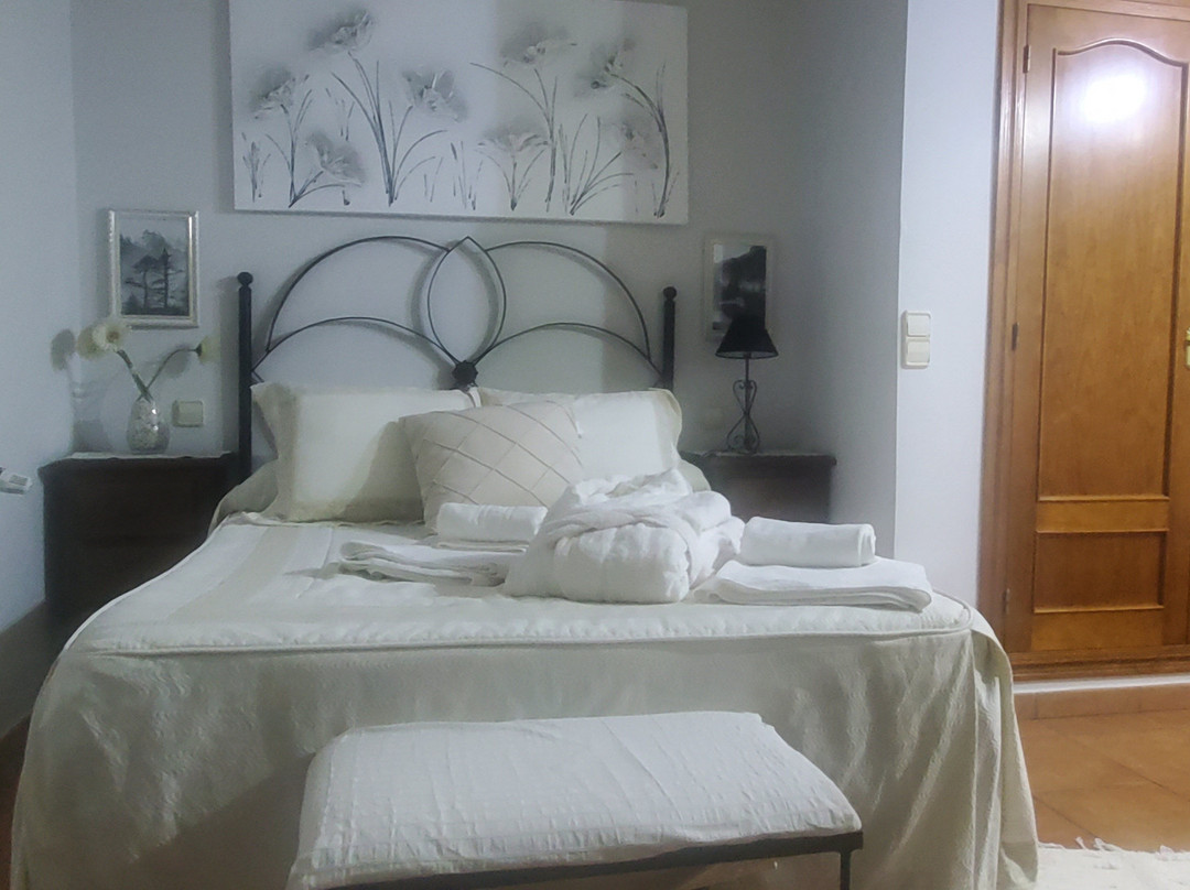 Hostal The Matador主图