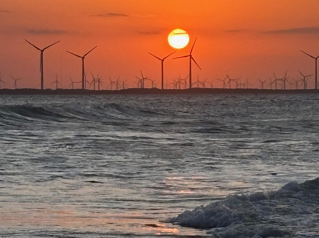 Galinhos Beach景点图片