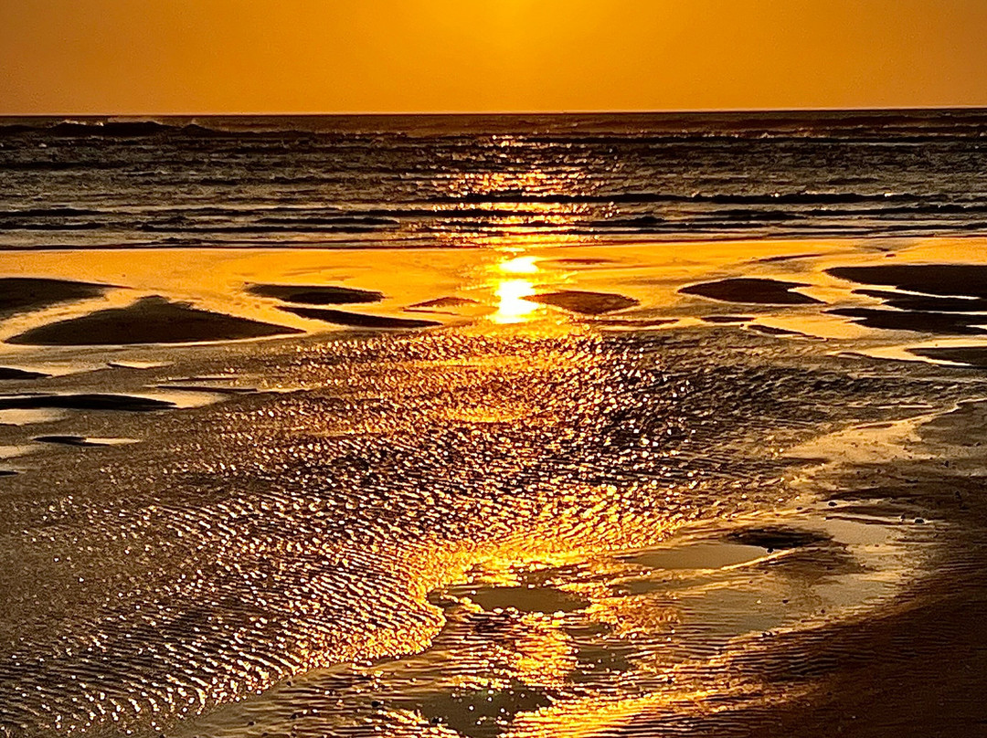 El Palmar Beach景点图片