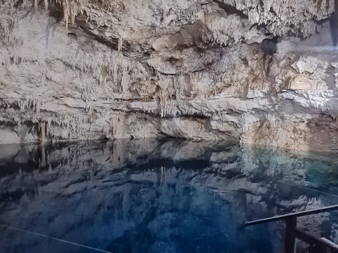 Parque Ecoturistico Cenote Aktun Bej景点图片