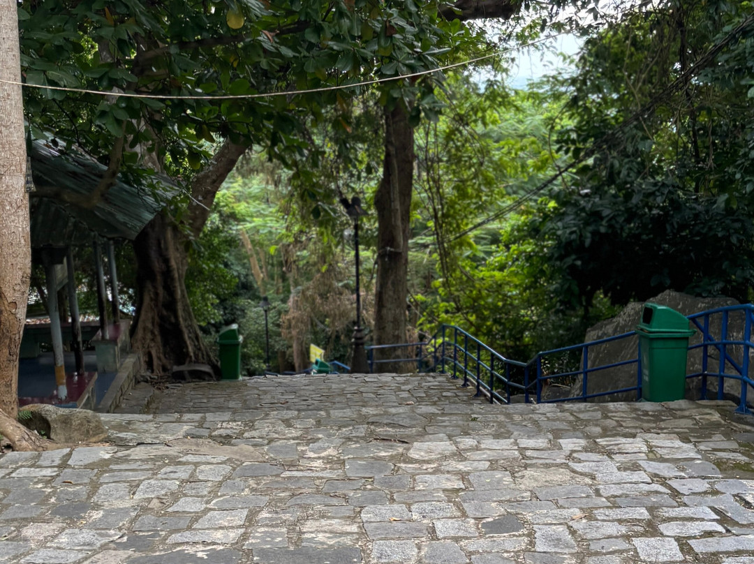 Boi Loi Trail景点图片