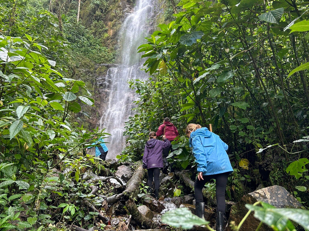 Aventuras Neotropicales景点图片