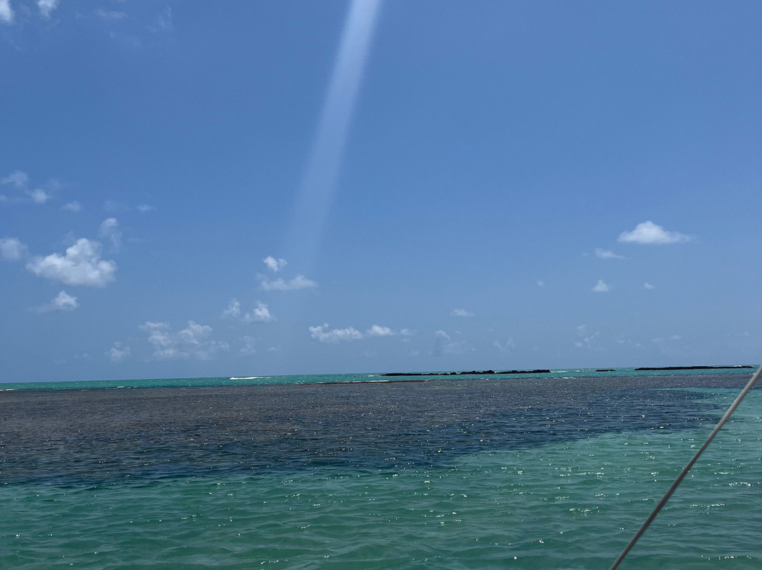 GG TUR-Japaratinga必去景点