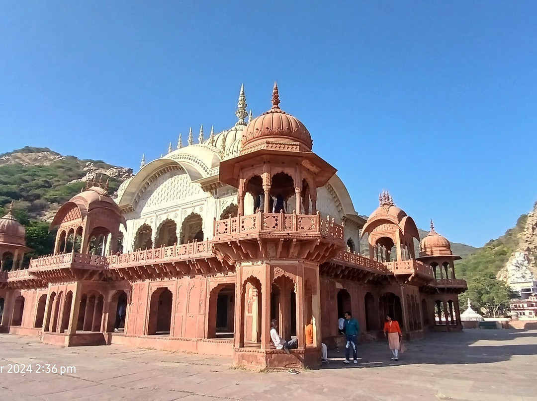 Alwar City Palace Vinay Villas Palace景点图片