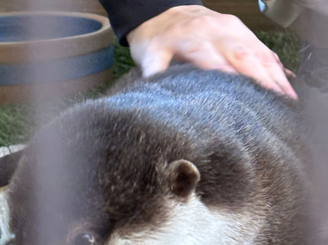 Phoenix Herpetological Sanctuary-斯科茨代尔必去景点