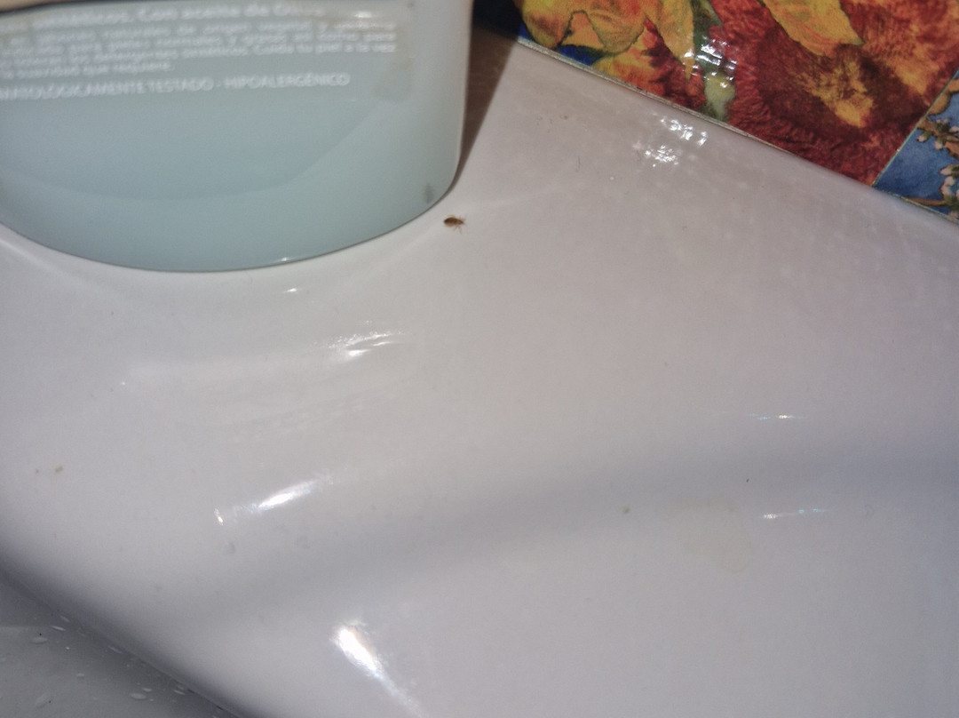 Hospedaxe Carragal主图