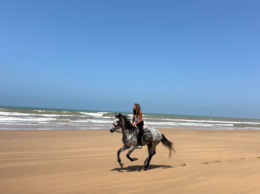 Ranch Berbère À Sidi Kaouki - Essaouira-Sidi Kaouki必去景点