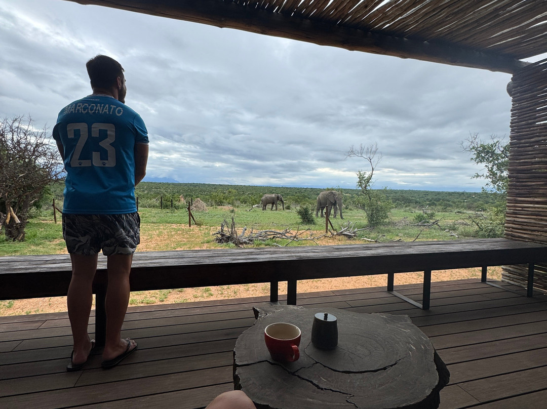 Imagine Africa Luxury Tented Camp主图