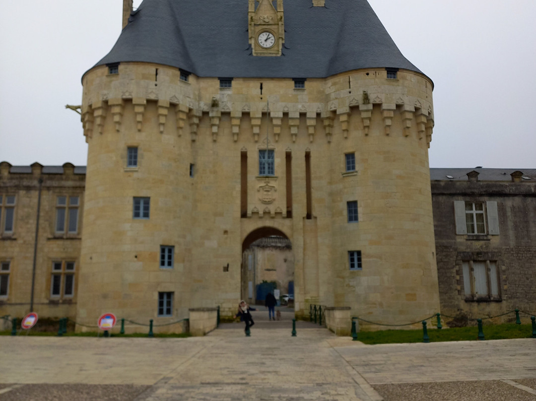 Chateau de Jonzac景点图片