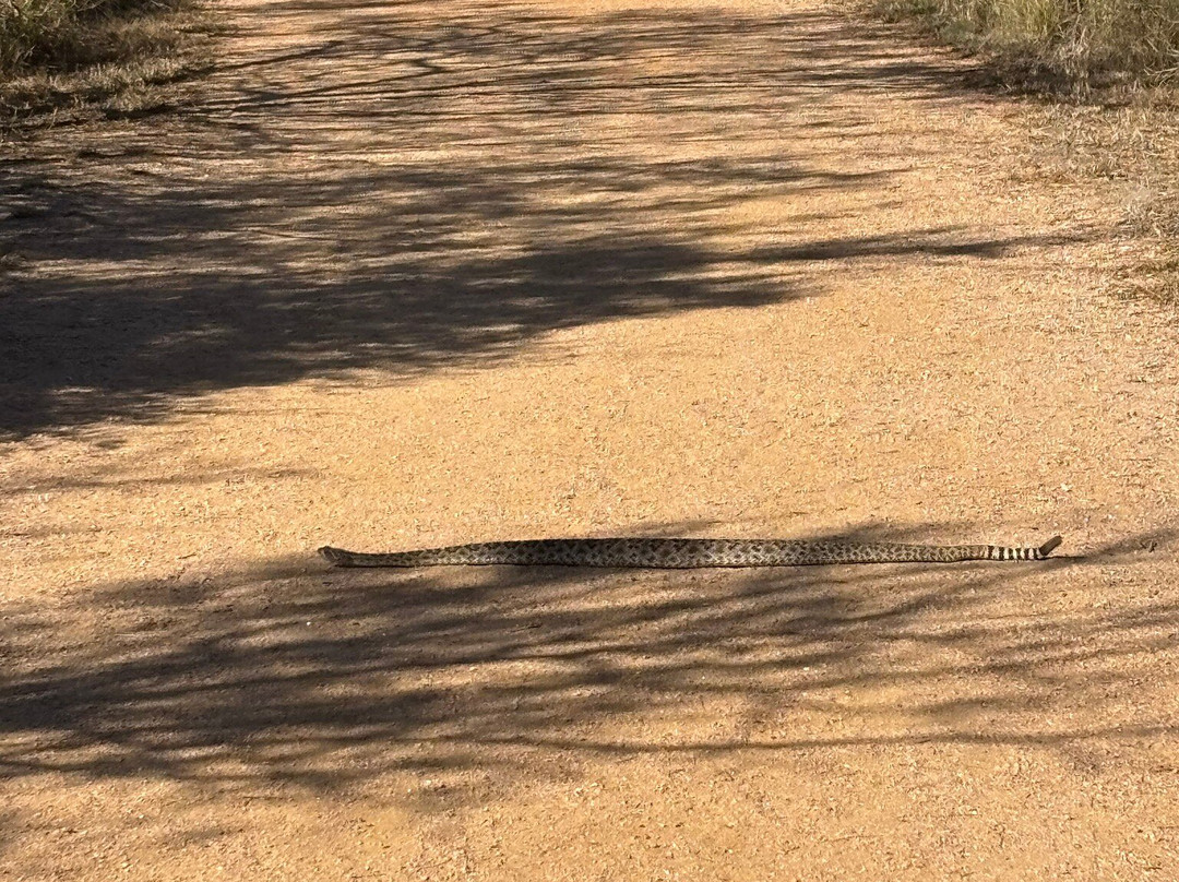 Oso Bay Wetlands Preserve & Learning Center-科珀斯克里斯蒂市必去景点