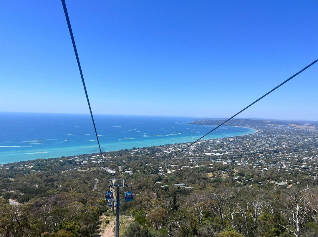 Arthurs Seat Eagle景点图片