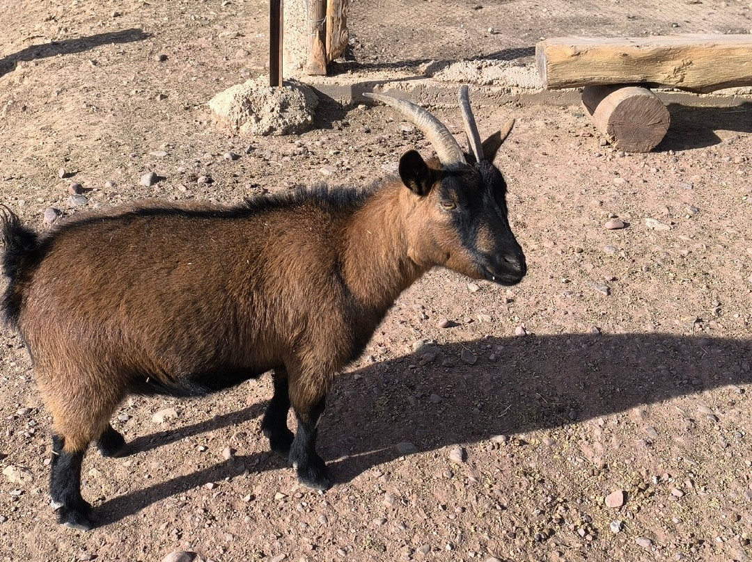 Parque de Fauna La Maleza景点图片