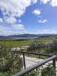 Fuerte Bulnes-蓬塔阿雷纳斯必去景点