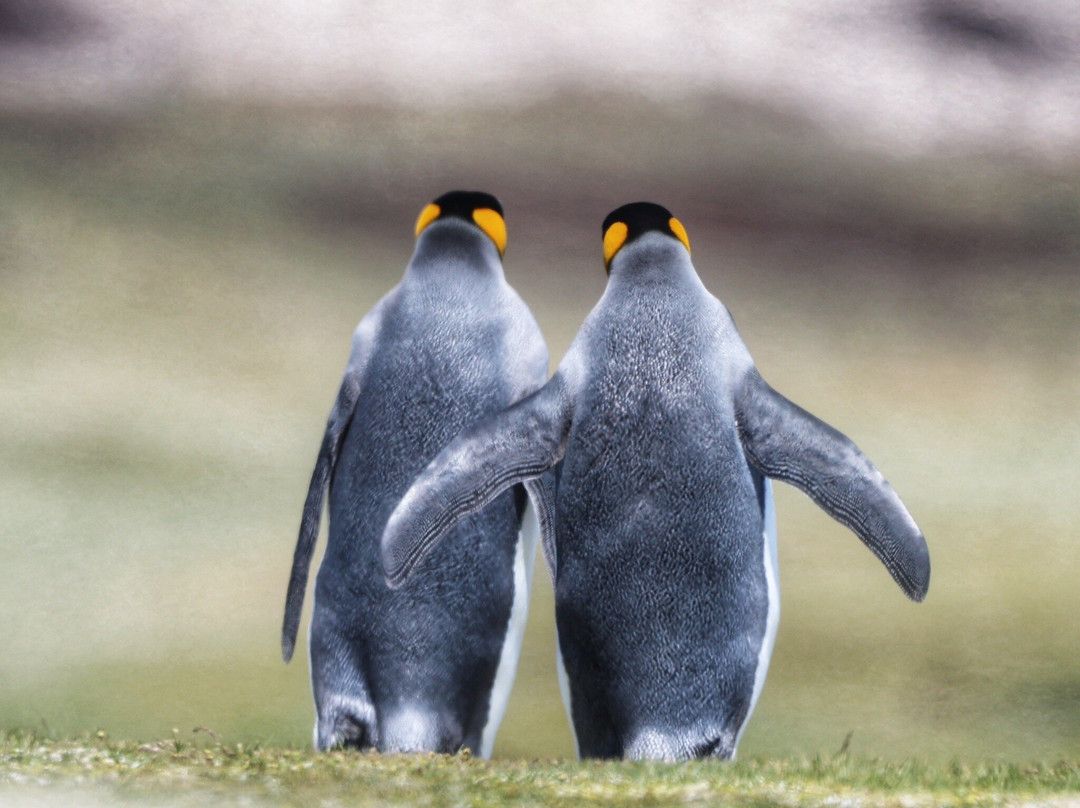 The Waterfront Boutique Hotel主图