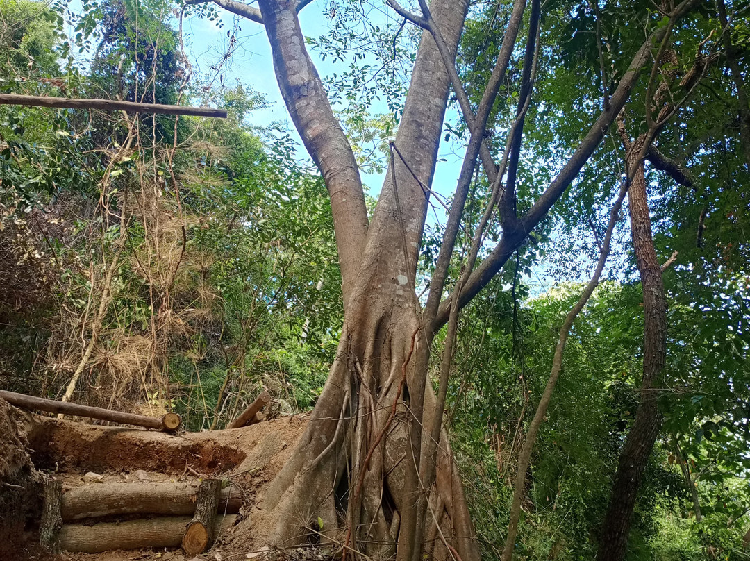 Faro Mirador Tayrona-Minca必去景点