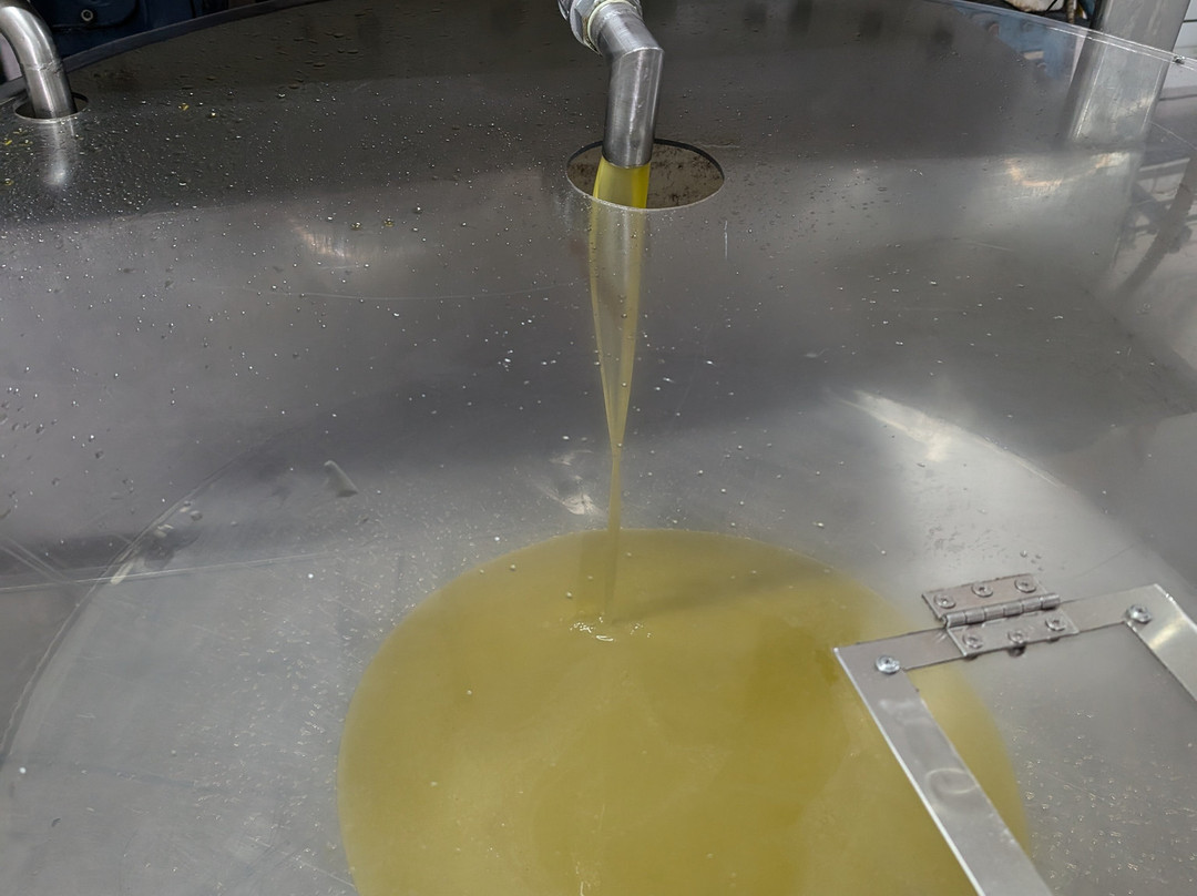 Markakis Olive Mill - Olive Oil-Chani Alexandrou必去景点