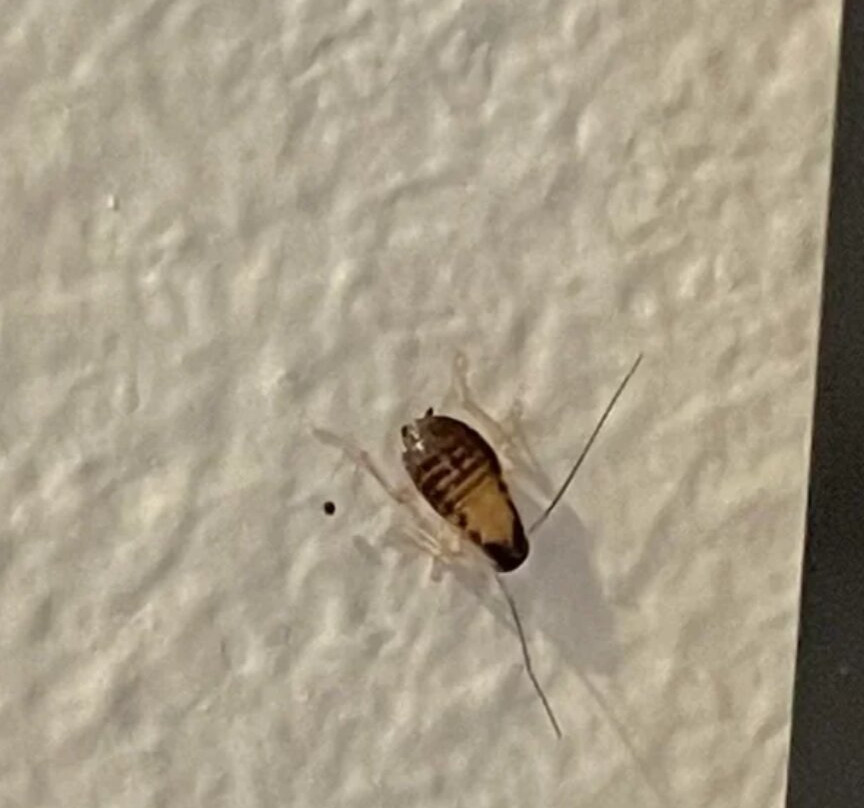 Super 8 by Wyndham O Neill NE主图