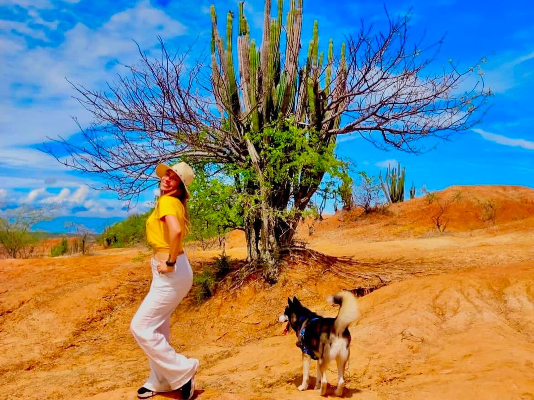 Desierto de la Tatacoa-Villavieja必去景点