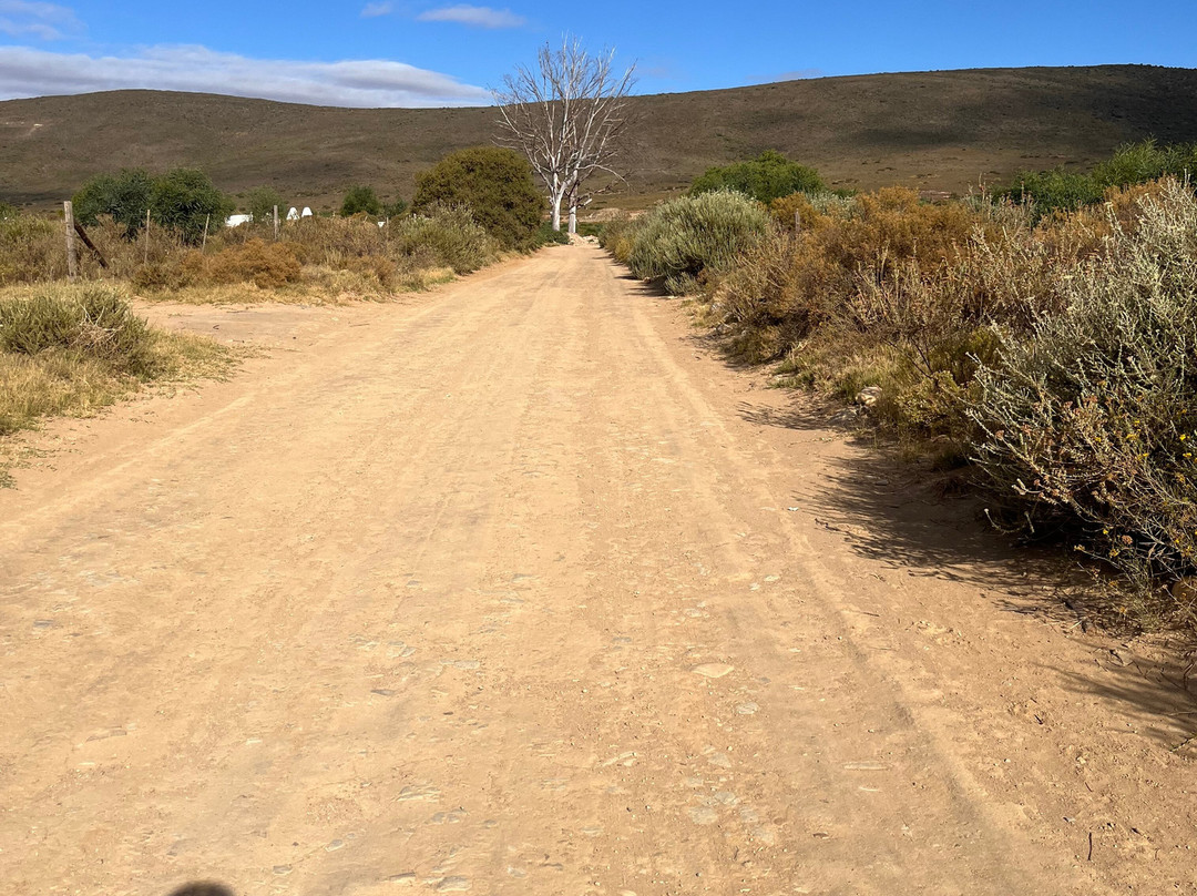 Vrolijkheid Nature Reserve-McGregor必去景点
