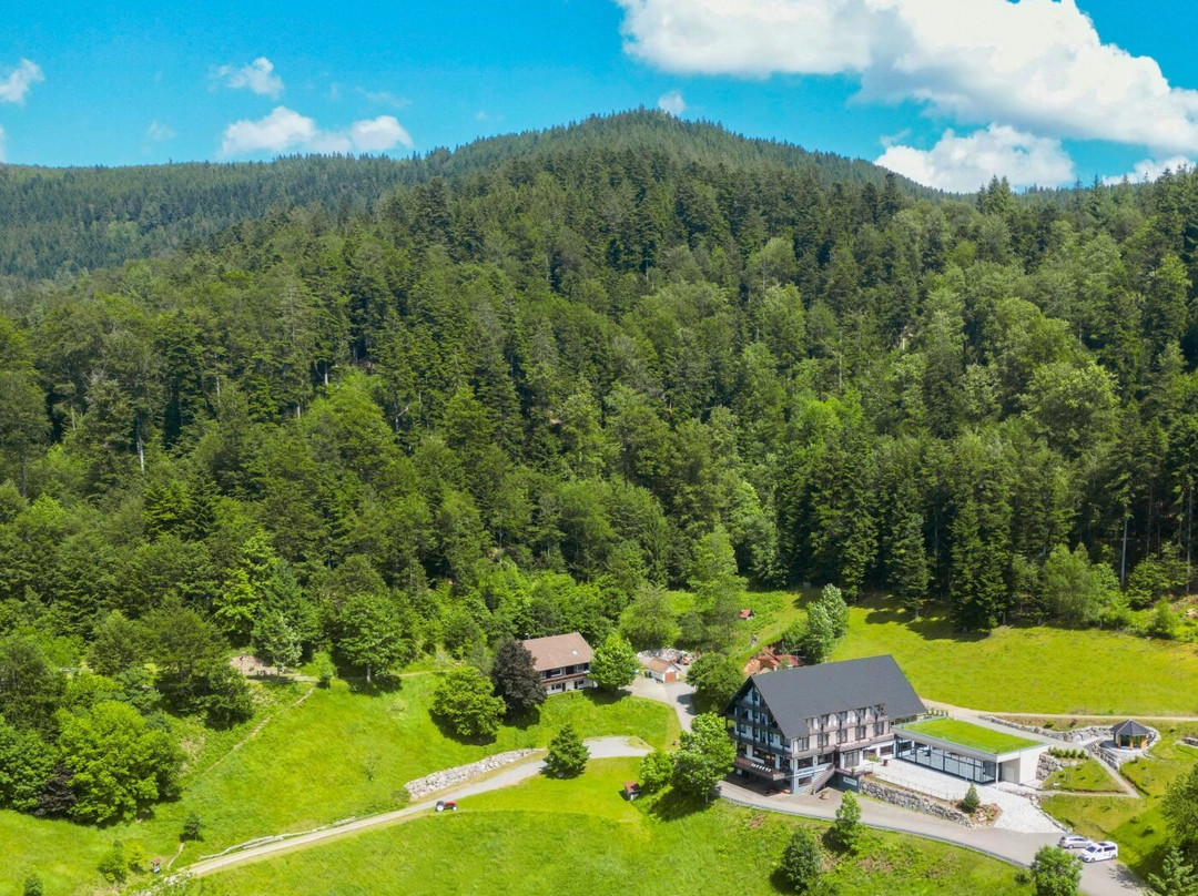 Waldhotel Palmspring