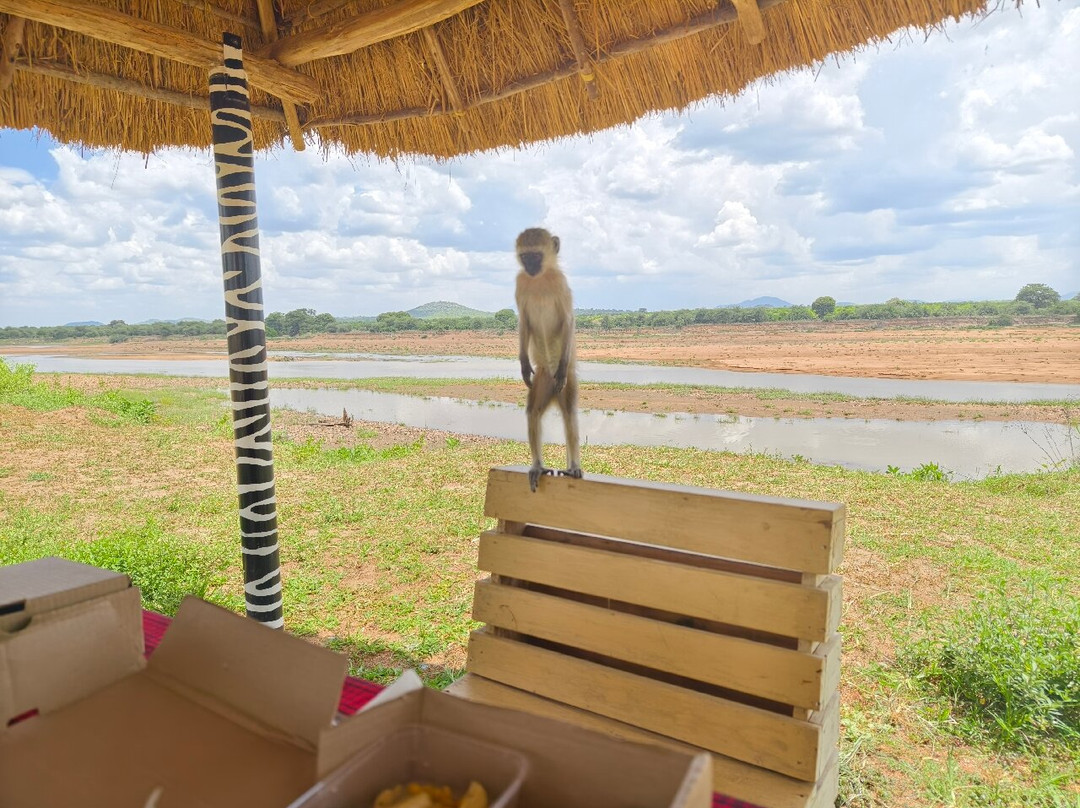 GREAT MINDS TOURS & SAFARI-Dar es Salaam必去景点