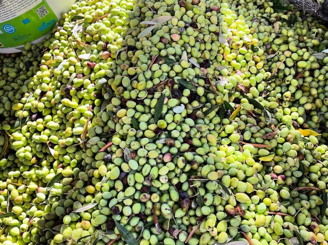 Viva Your Personal Chef-Metaxata必去景点