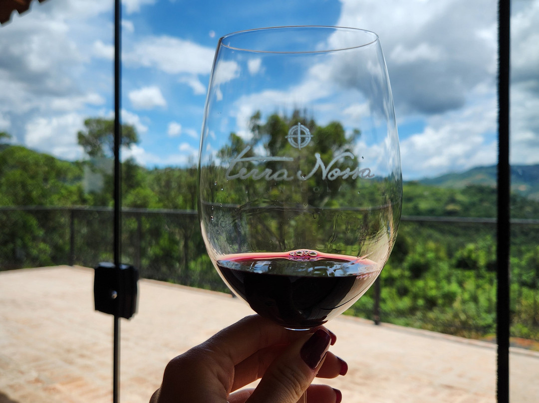 Vínicola Terra Nossa-Espirito Santo Do Pinhal必去景点