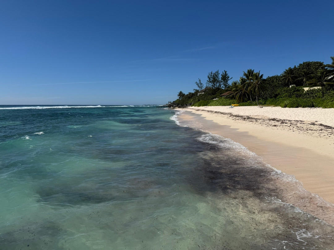 Spotts Beach-大开曼岛必去景点