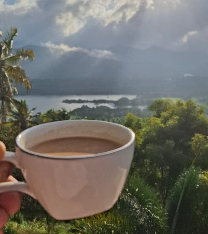 The Albatross, Kandy主图