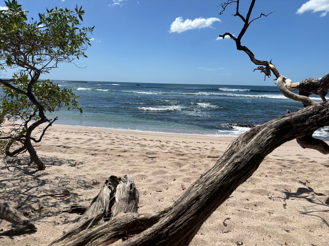 Playa Blanca ( White Beach )景点图片