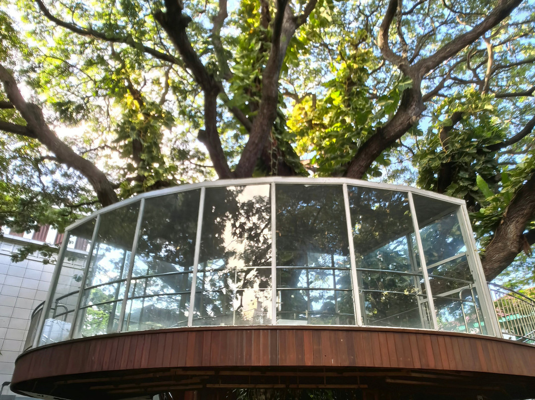 Sultan Park-马累必去景点