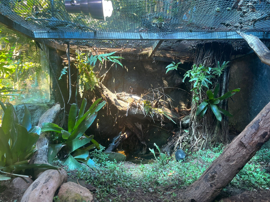 Ubatuba Aquarium-乌巴图巴必去景点