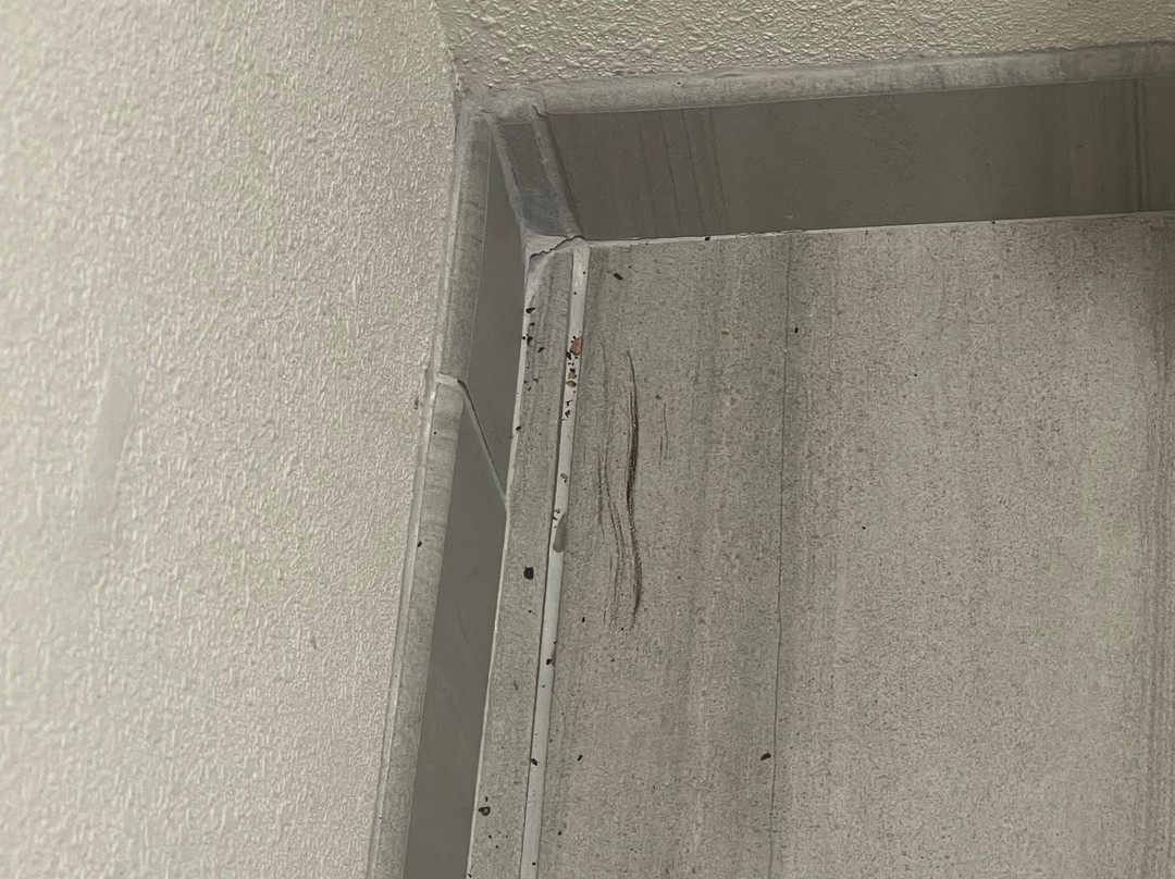 Holiday Inn Express & Suites Marshall By IHG主图