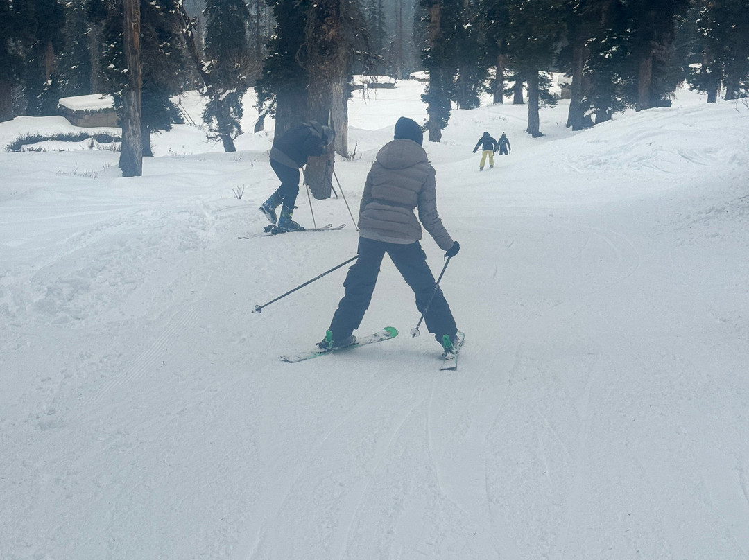 The Gulmarg Ski-贡马必去景点