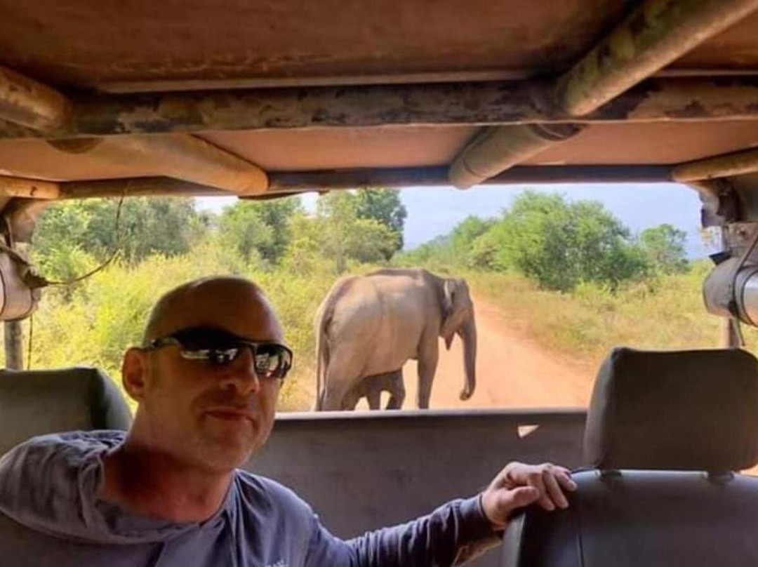 Udawalawe National Park Safari-乌达瓦拉瓦必去景点