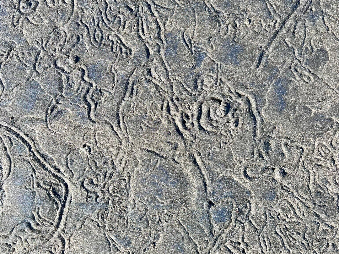 Playa Venao景点图片