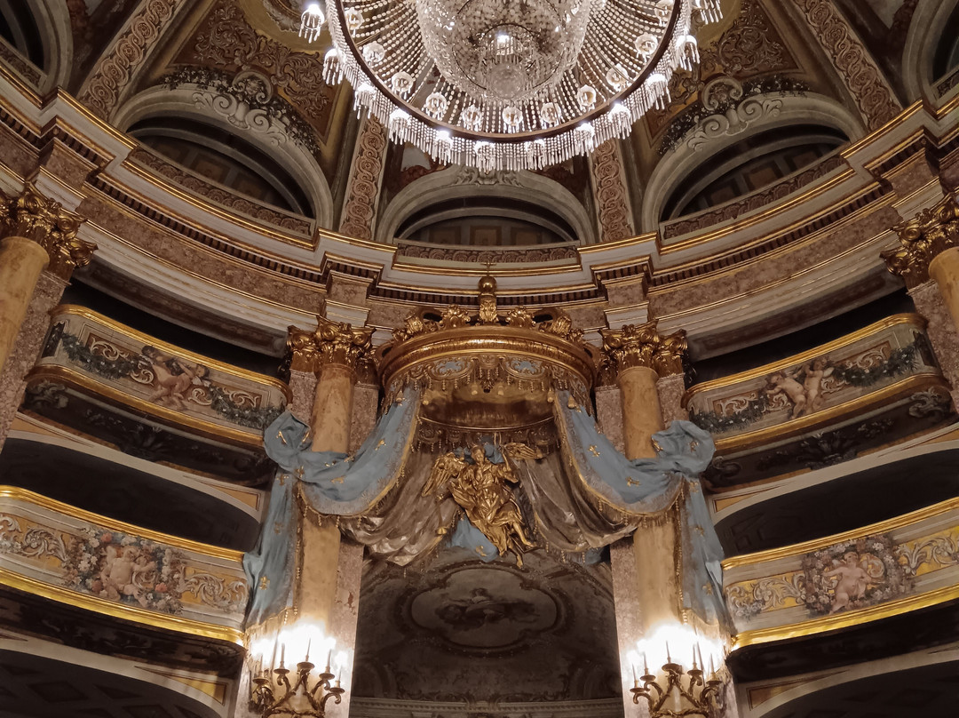 Teatro di Corte景点图片