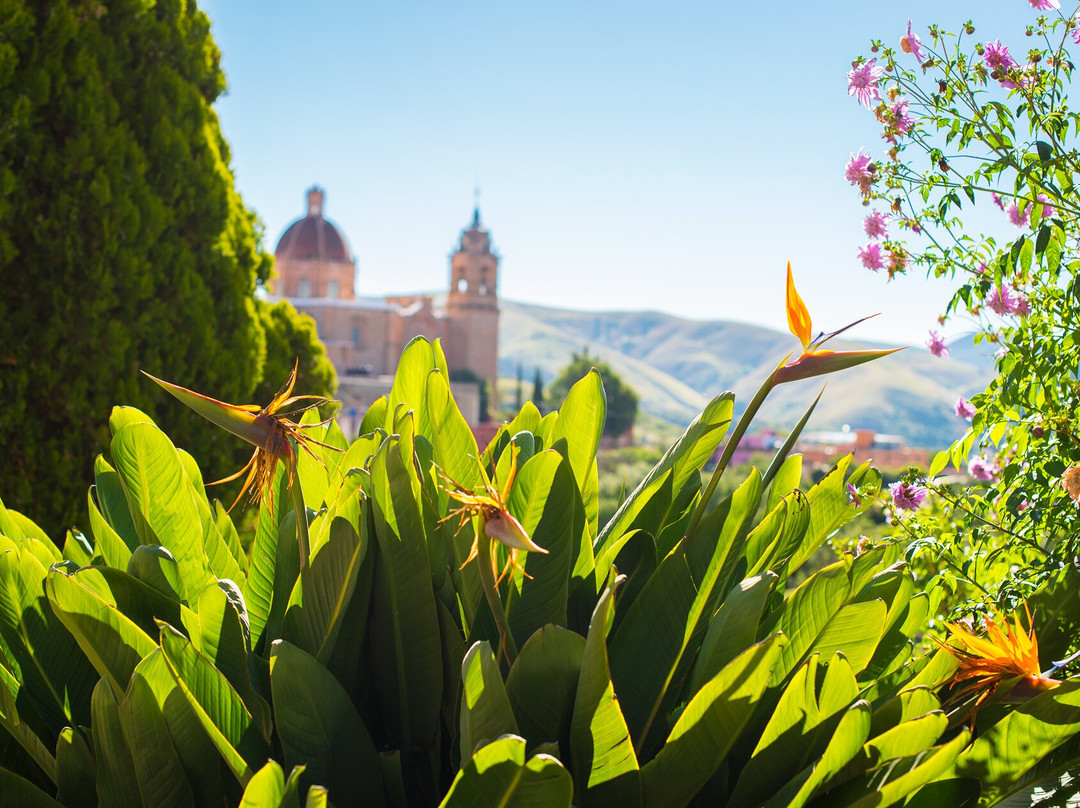 Casa Estrella De La Valenciana主图