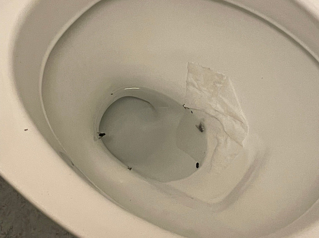 Vardshuset Lugnet主图