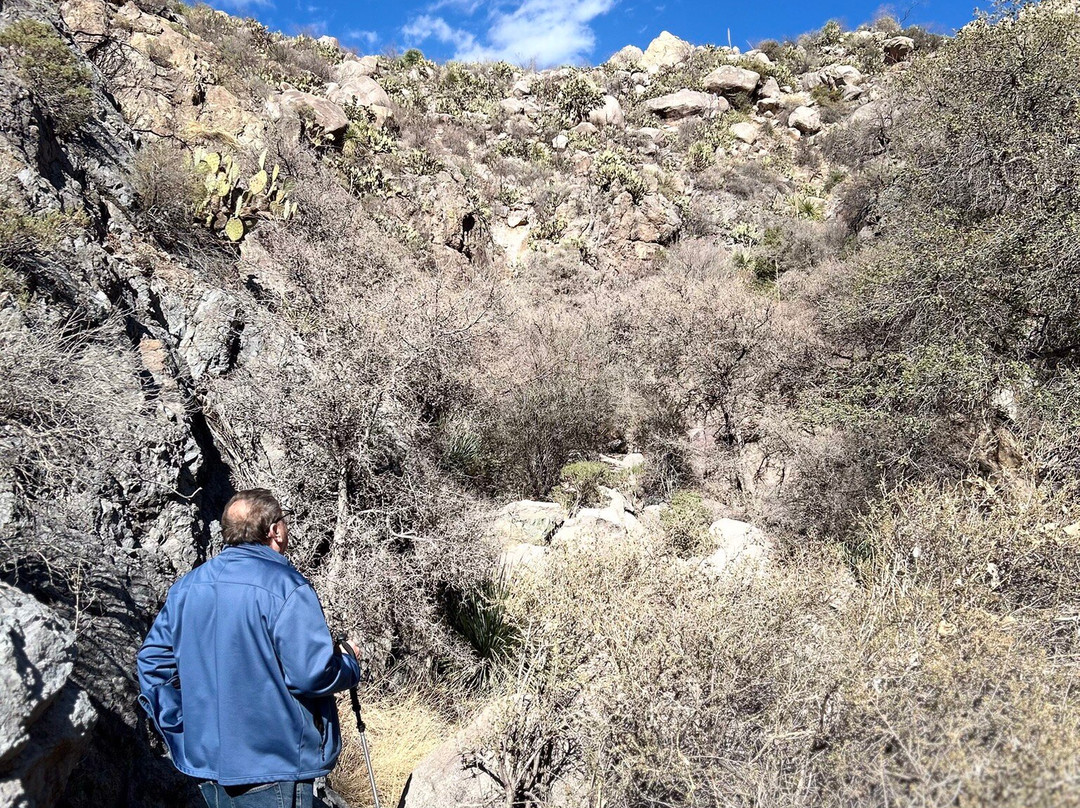Organ Mountains-Desert Peaks National Monument-拉斯克鲁塞斯必去景点