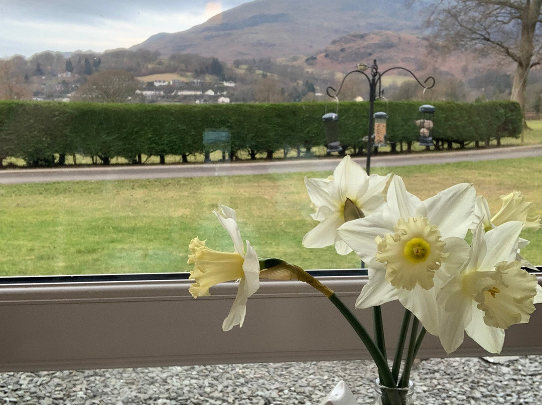 Bluebird Lodge and Waterhead Apartment主图