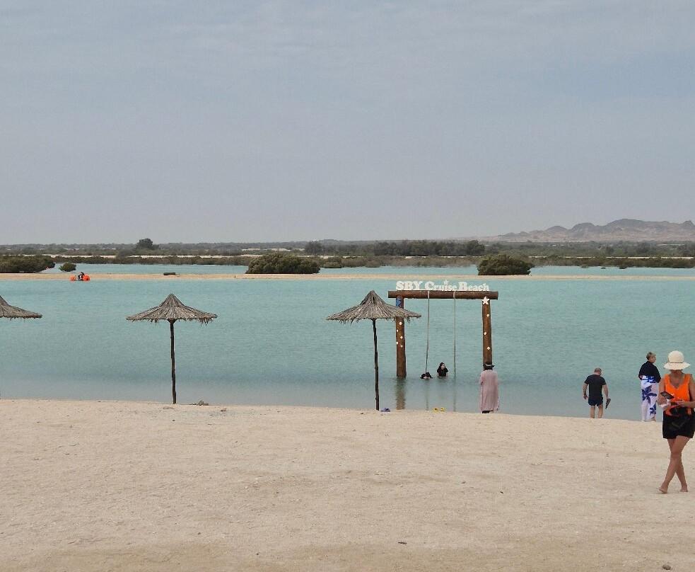 Sir Bani Yas Cruise Beach-萨巴尼亚岛必去景点