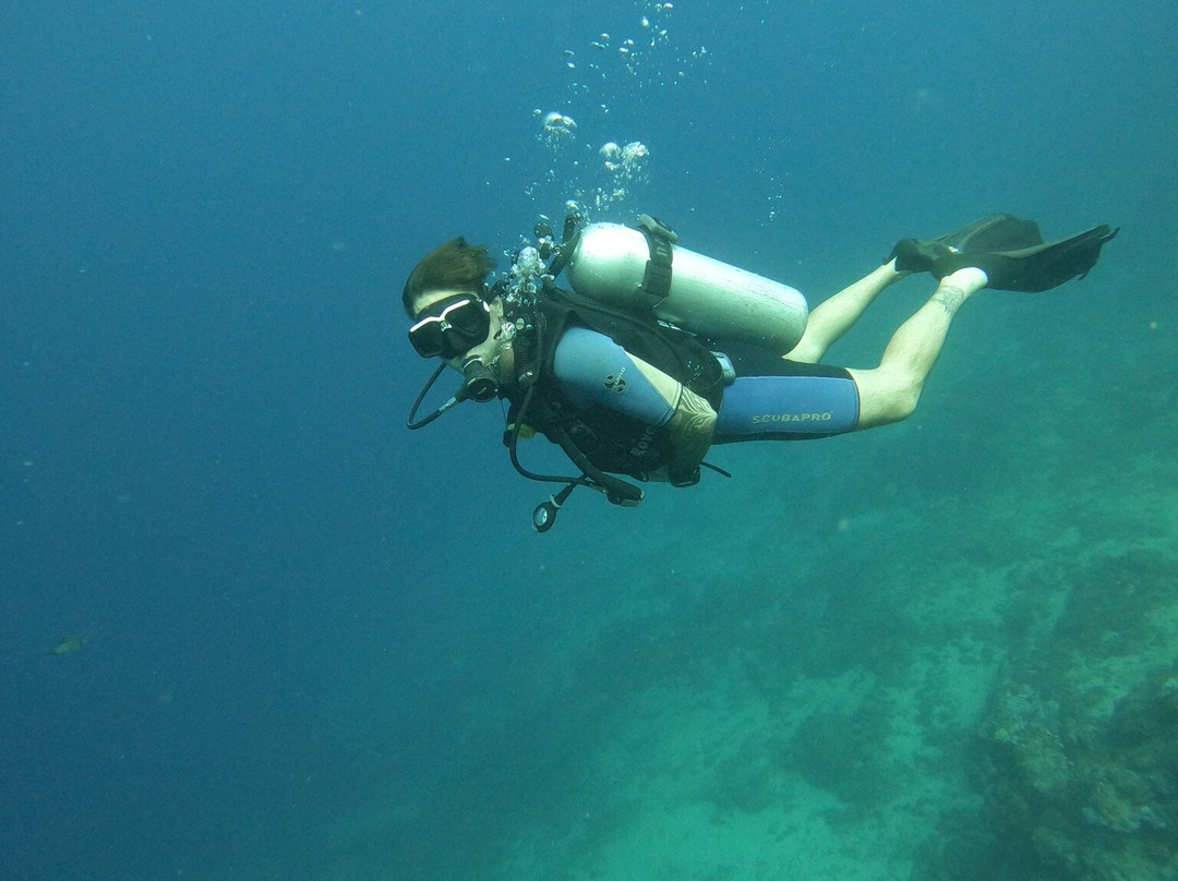 Dive Point Jeddah-吉达必去景点