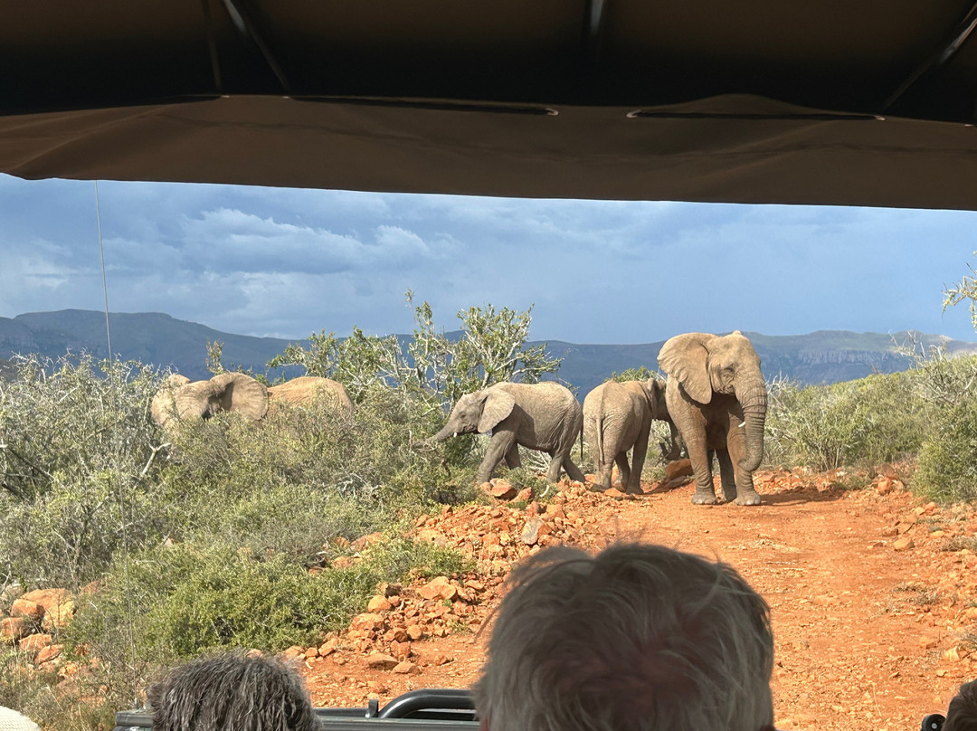 Mount Camdeboo Private Game Reserve主图