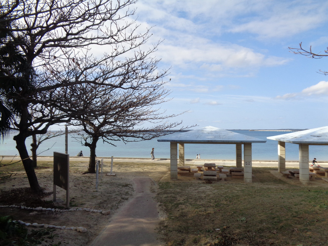 Painagama Beach景点图片