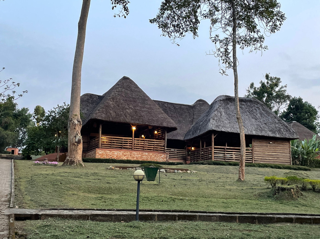 Big 5 Africa Tours景点图片